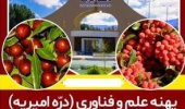آغاز اجرای چاله کنی جایگاه کاشت نهال در پهنه امیریه