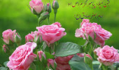 جشن میلاد با سعادت حضرت رسول اکرم (ص) و حضرت امام جعفر صادق(ع)