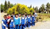 اردوی علمی تفریحی دانش آموزان مدرسه موسی بن جعفر (ع) بیرجند در پردیس کشاورزی، منابع طبیعی و محیط زیست برگزارشد.