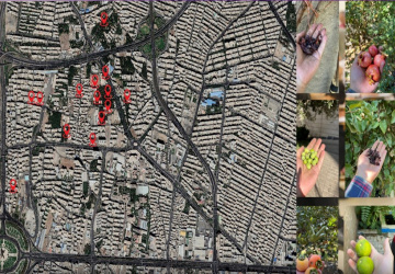 ارزیابی سلامت محصولات کشاورزی شهری تهران